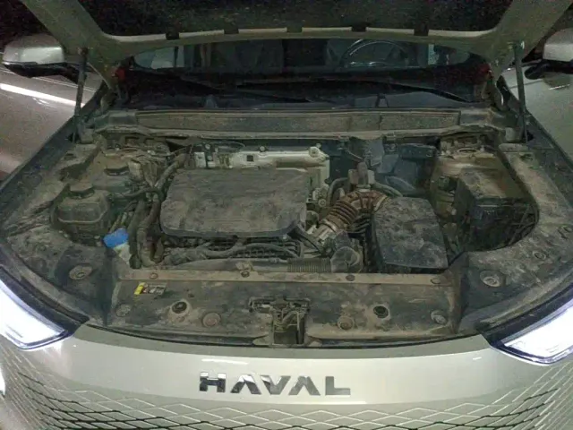 Haval Xiaolong MAX — Фото автомобиля 10