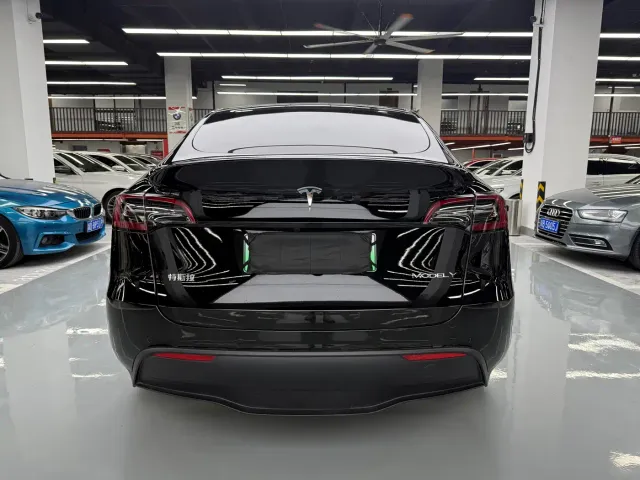 Tesla Model Y — Фото автомобиля 24