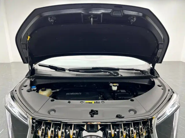 GAC Trumpchi M8 — Фото автомобиля 29