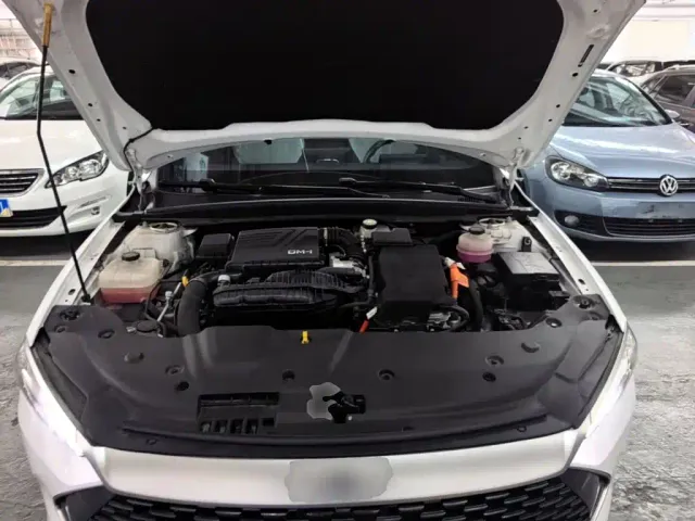BYD Qin PLUS — Фото автомобиля 19