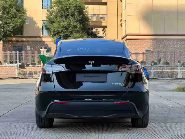 Tesla Model Y — Фото автомобиля 5