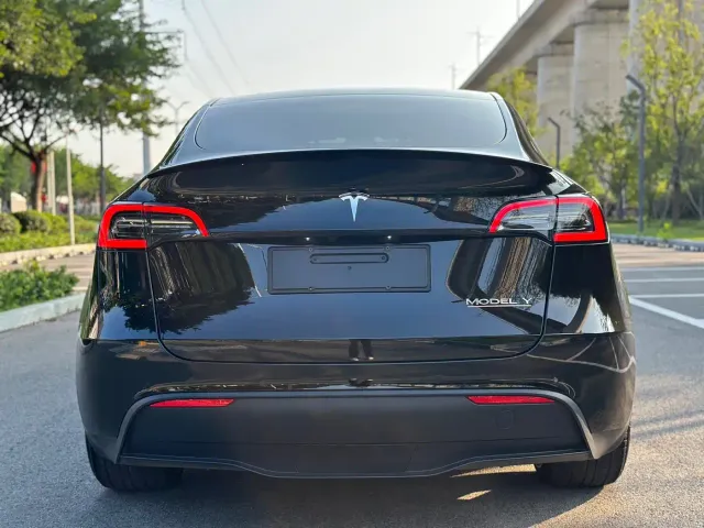 Tesla Model Y — Фото автомобиля 8