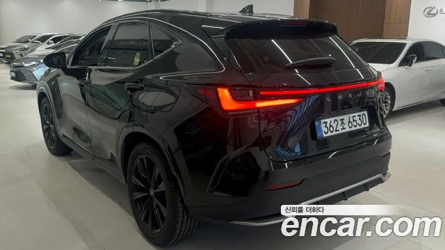 Lexus NX NX450h+ 2nd Gen — Фото автомобиля 2
