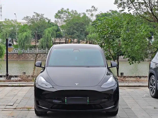 Tesla Model Y — Фото автомобиля 2