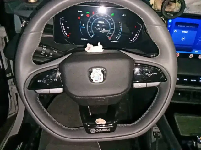 Changan Raeton Plus — Фото автомобиля 6