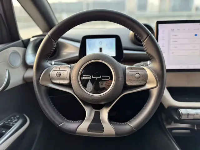 BYD Dolphin — Фото автомобиля 15