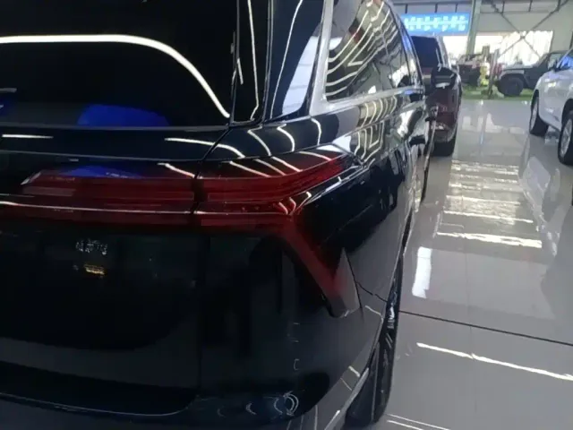 Wey Lanshan — Фото автомобиля 7