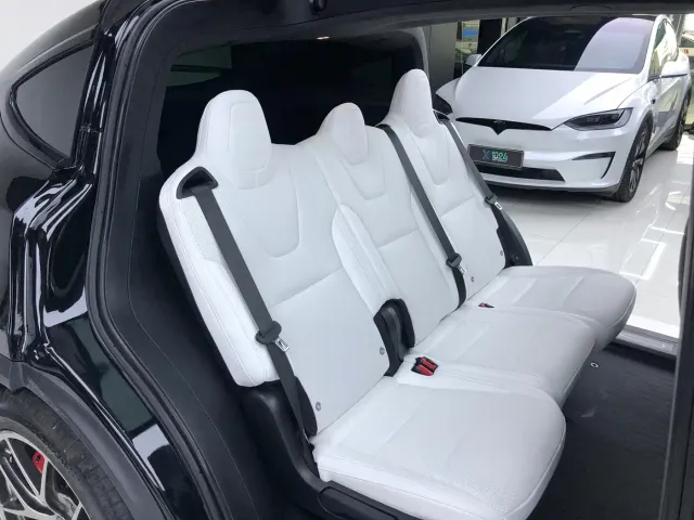 Tesla Model X — Фото автомобиля 15