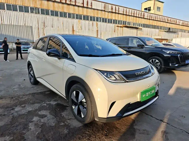 BYD Dolphin — Фото автомобиля 3