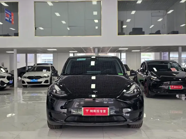 Tesla Model Y — Фото автомобиля 2