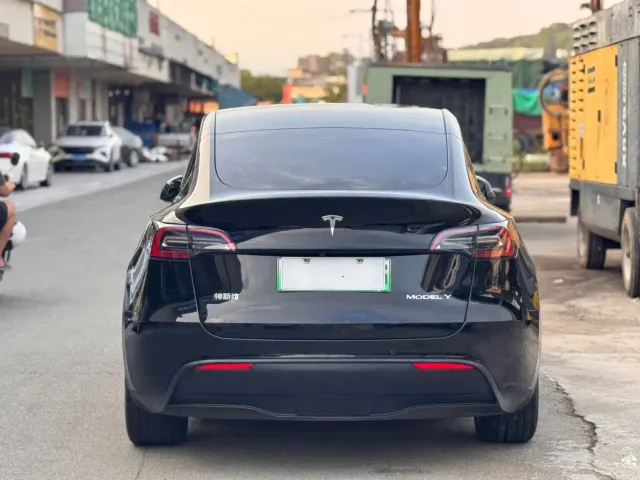 Tesla Model Y — Фото автомобиля 10