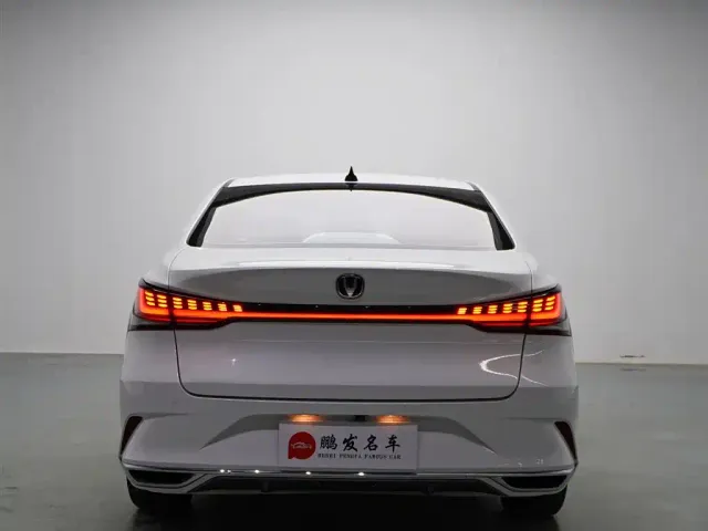 Changan Raeton Plus — Фото автомобиля 17