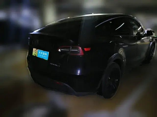 Tesla Model Y — Фото автомобиля 2