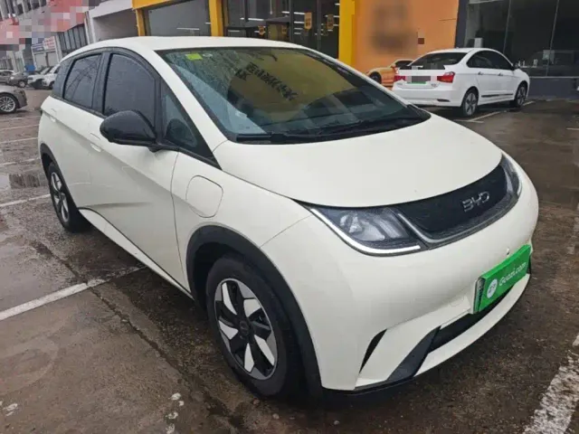 BYD Dolphin — Фото автомобиля 3
