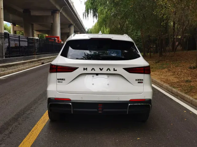 Haval Xiaolong MAX — Фото автомобиля 8