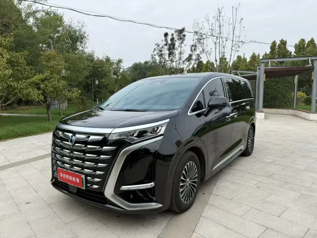 Фотография автомобиля — Denza D9