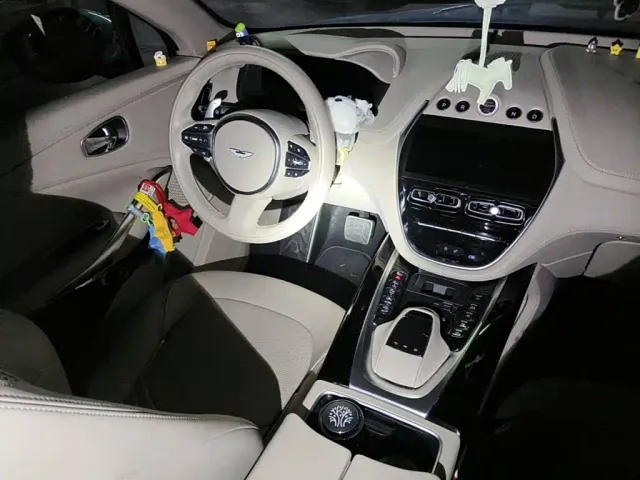 Aston Martin DBX — Фото автомобиля 12