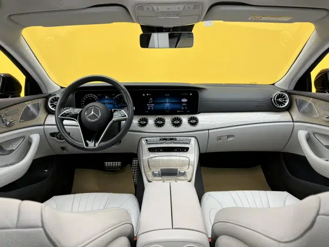 Mercedes-Benz CLS-Class — Фото автомобиля 22