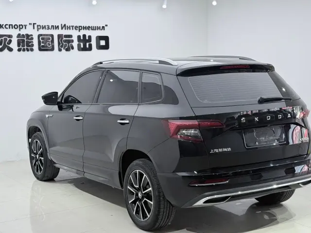 Skoda Karoq — Фото автомобиля 6