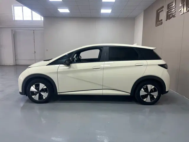 BYD Dolphin — Фото автомобиля 8