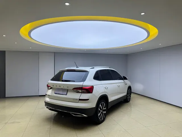 Skoda Kamiq — Фото автомобиля 6