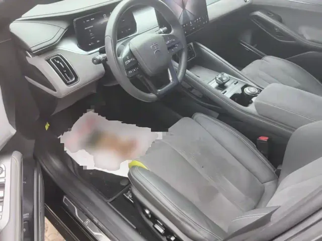 BYD Song L EV — Фото автомобиля 15