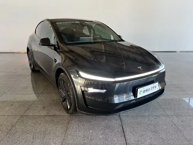 Tesla Model Y — Фото автомобиля 9