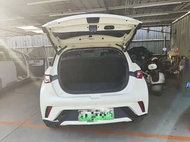 BYD Dolphin — Фото автомобиля 18