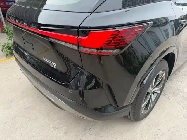 Lexus RX — Фото автомобиля 21
