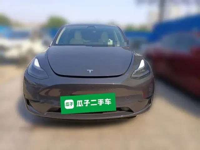 Tesla Model Y — Фото автомобиля 2