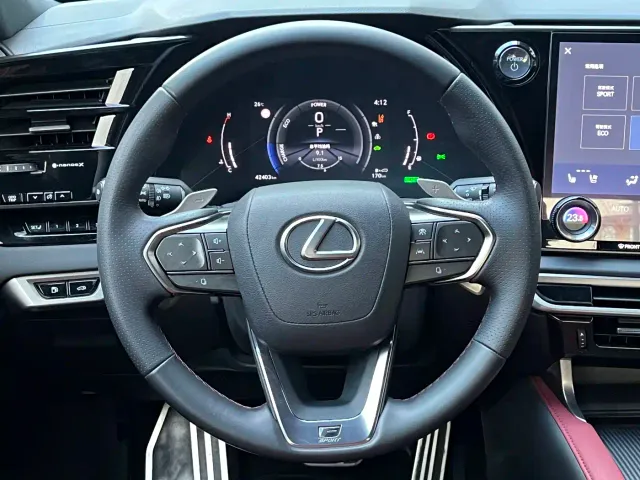 Lexus RX — Фото автомобиля 13
