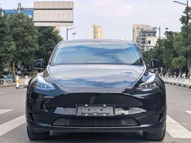 Tesla Model Y — Фото автомобиля 2
