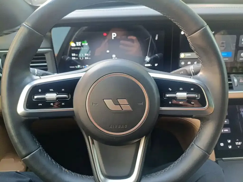Li Auto Li ONE 2021 Extended Range 6-Seater — Фото автомобиля 13