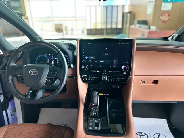 Toyota Alphard — Фото автомобиля 19