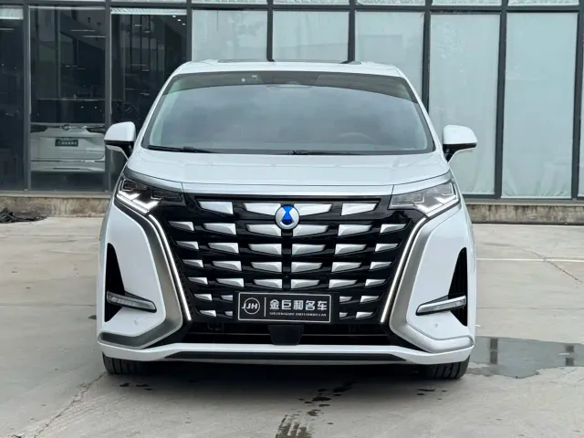 Denza D9 — Фото автомобиля 2