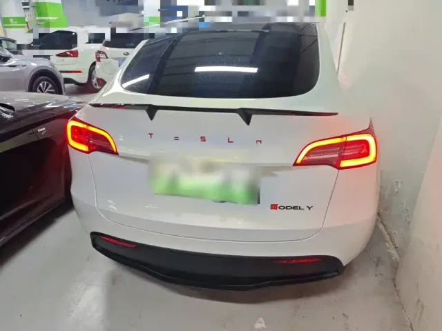 Tesla Model Y — Фото автомобиля 3