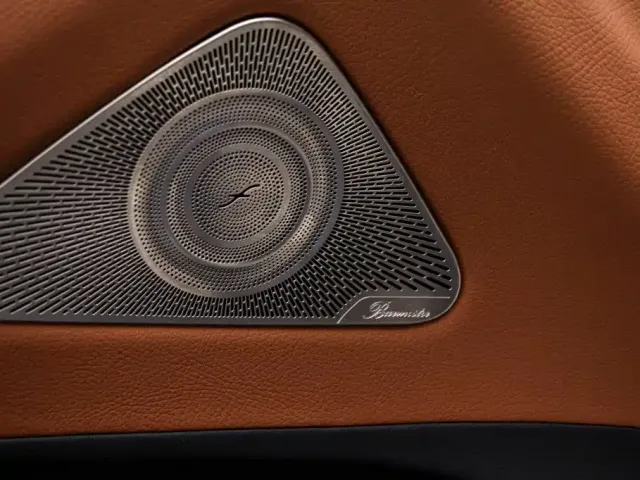 Mercedes-Benz S-Class — Фото автомобиля 14