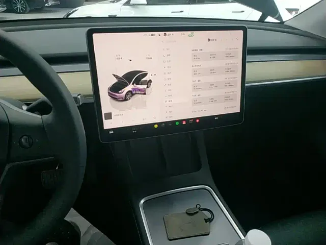 Tesla Model Y — Фото автомобиля 12