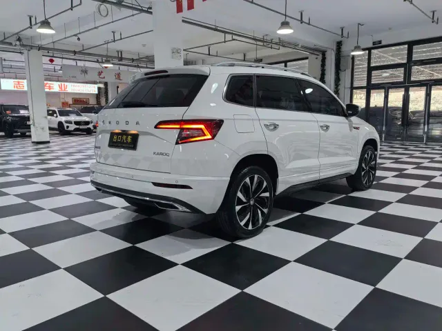 Skoda Karoq — Фото автомобиля 6