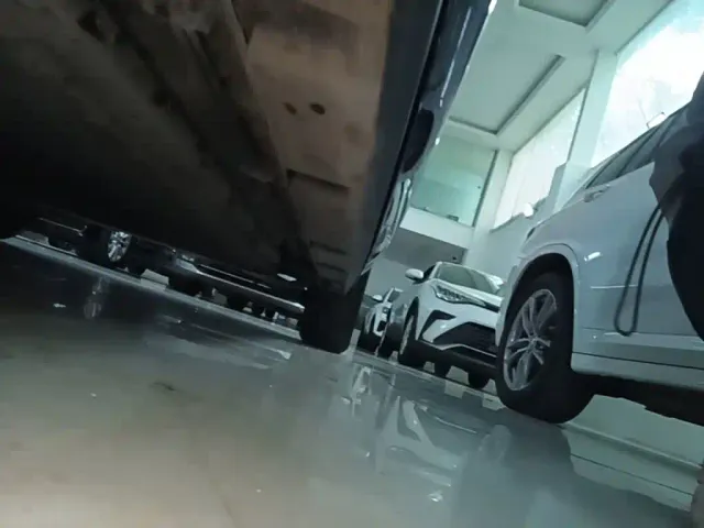 BYD Dolphin — Фото автомобиля 21