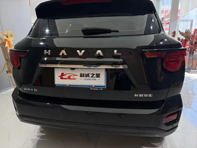 Haval Big Dog — Фото автомобиля 10