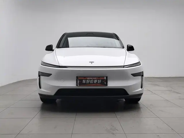 Tesla Model Y — Фото автомобиля 3