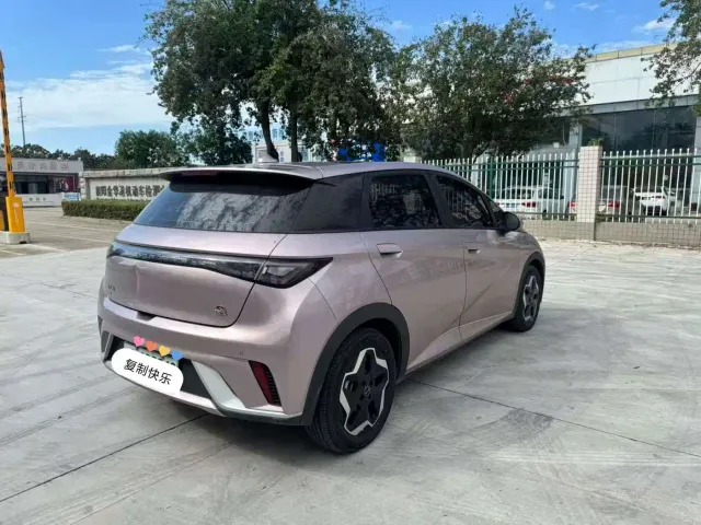 BYD Dolphin — Фото автомобиля 8