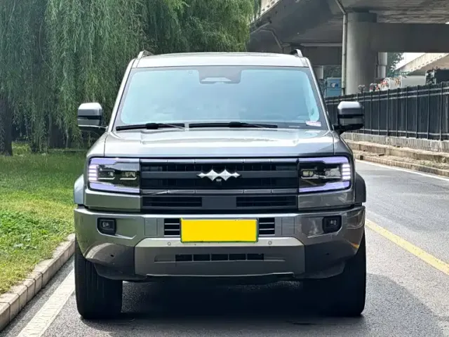 BYD FangChengBao Leopard 5 — Фото автомобиля 2