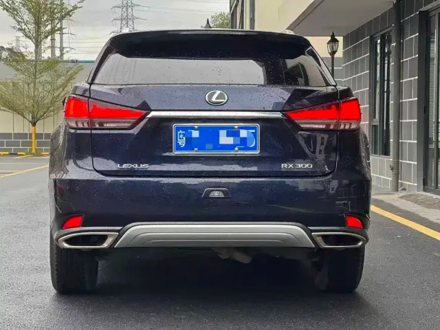 Lexus RX — Фото автомобиля 5