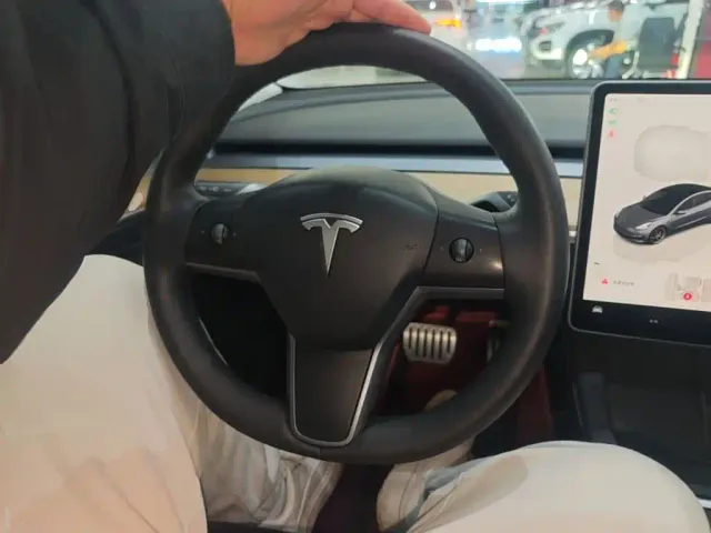 Tesla Model 3 — Фото автомобиля 10