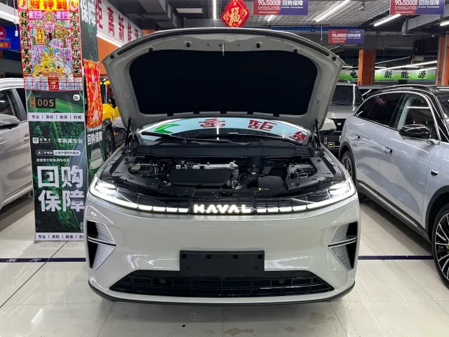 Haval Xiaolong MAX — Фото автомобиля 19