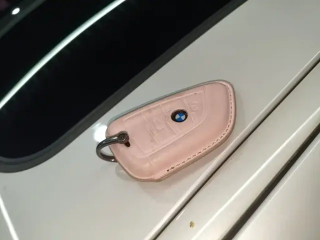 BMW 3 Series — Фото автомобиля 8