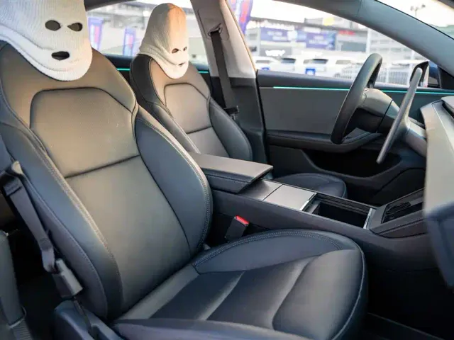 Tesla Model 3 — Фото автомобиля 15