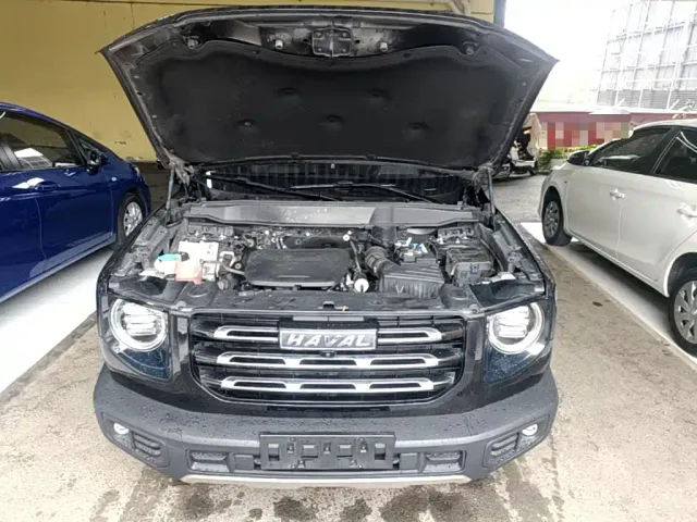 Haval Big Dog — Фото автомобиля 19
